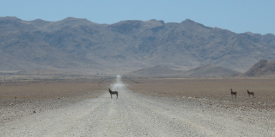Freelancer Gifhorn Braunschweig wolfsburg - Kontakt